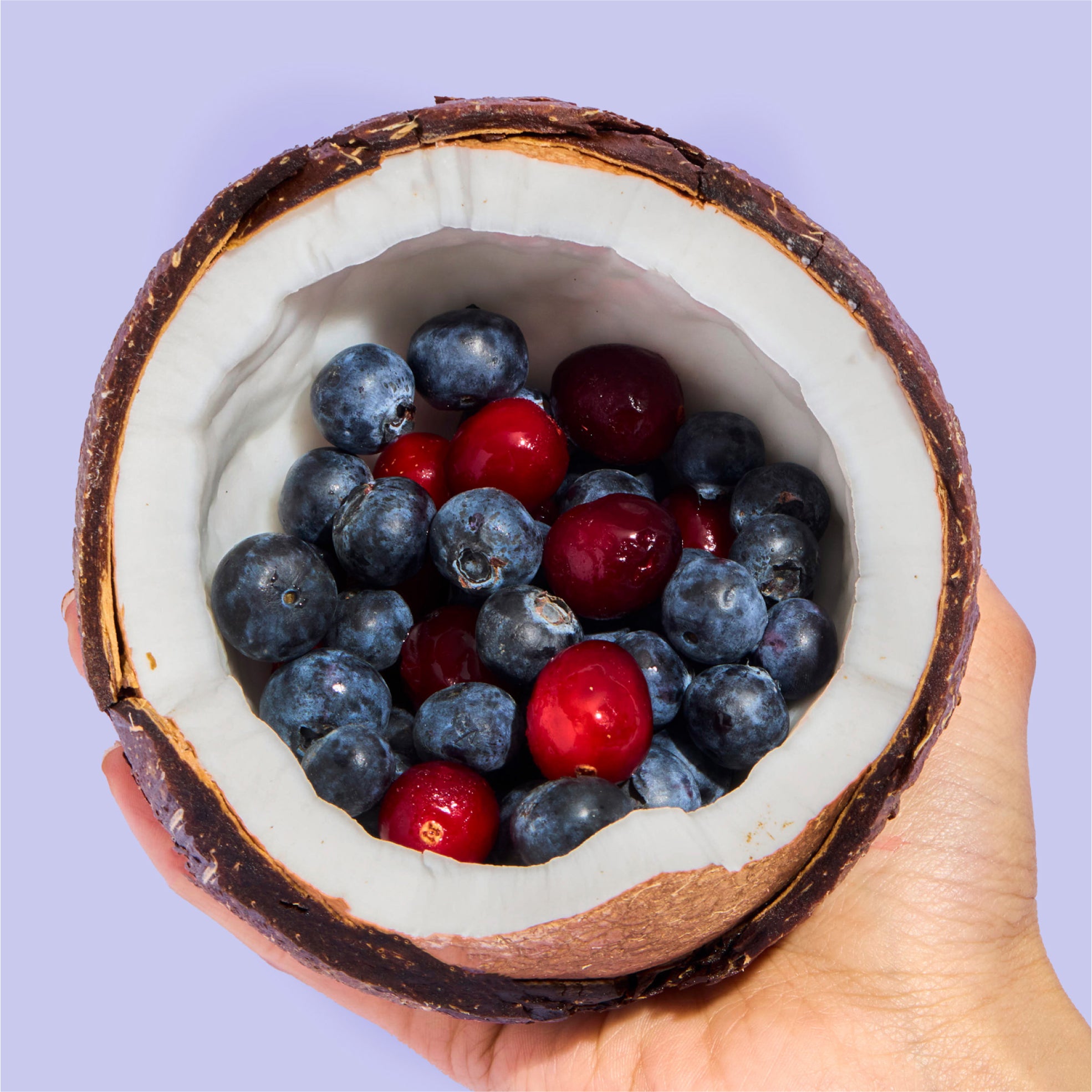 Blueberry Blend